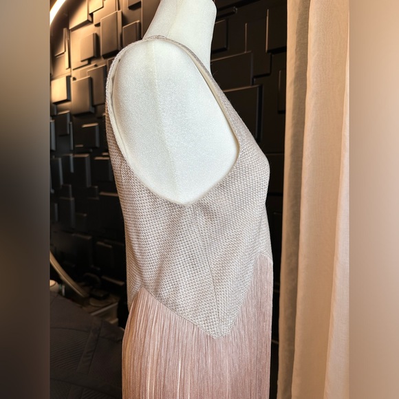 NWT Asilio/Revolve Gatsby fringe top 4 beige/cream 1920's boho - Picture 6 of 12